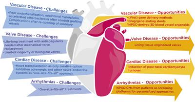 Grand challenges in molecular cardiology